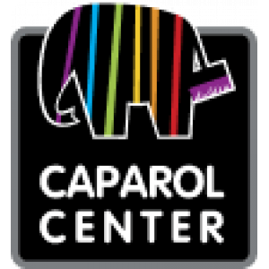Технический отдел Caparol центр